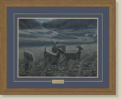 Night Moves-Whitetail Deer by Michael Sieve (image for) Night Moves-Whitetail Deer by Michael Sieve